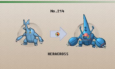 can heracross evolve|Heracross .